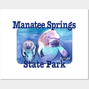 Manatee Springs State Park, Florida Posters and Art